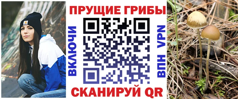 Галлюциногенные грибы Magic Shrooms  Севск 