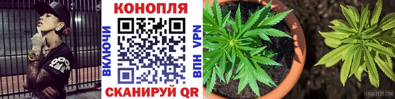 Бошки Шишки THC 21%  маркетплейс состав  Севск  цена наркотик 